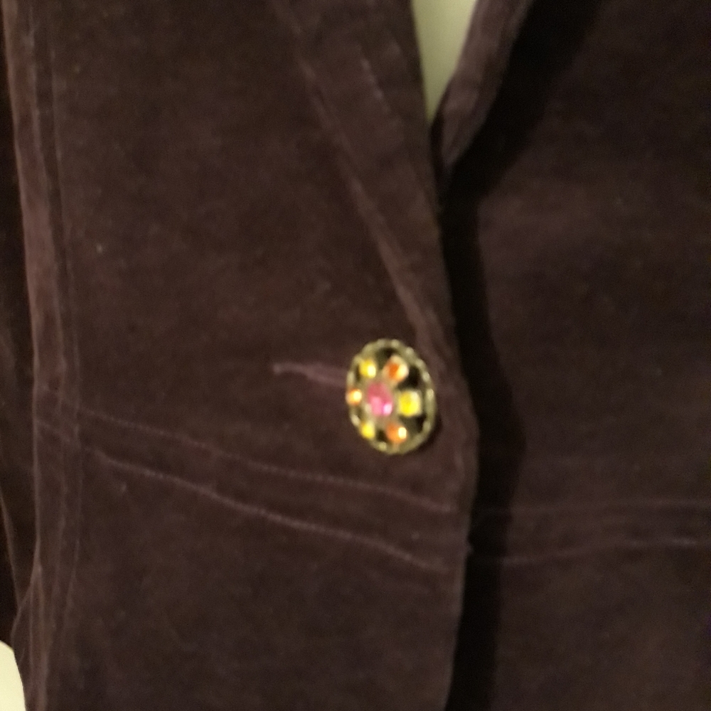 Embroidered Velvet Blazer Jacket - Deep Plum - Picture 5 of 15